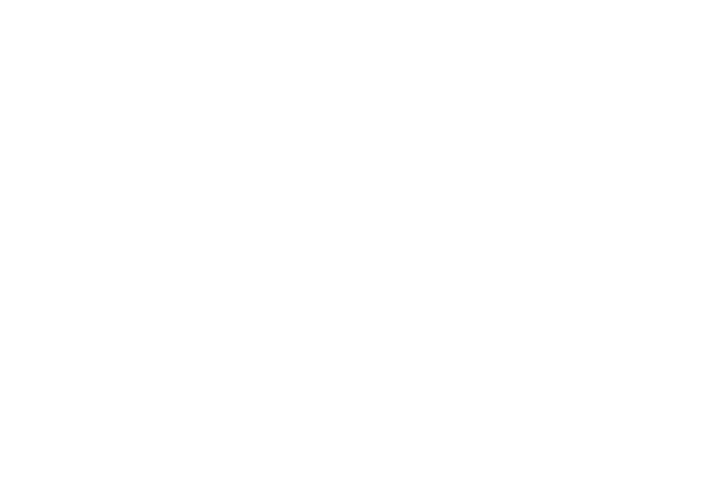 Paul Neitsov logo